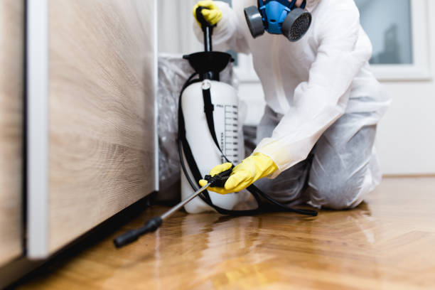 Best Pest Control Near Me in Lake Carmel, NY