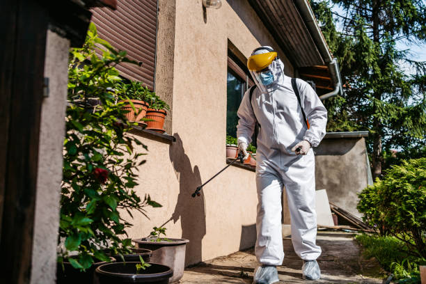 Best Termite Control Services  in Lake Carmel, NY