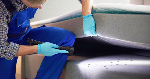 Best Flea Control Services  in Lake Carmel, NY