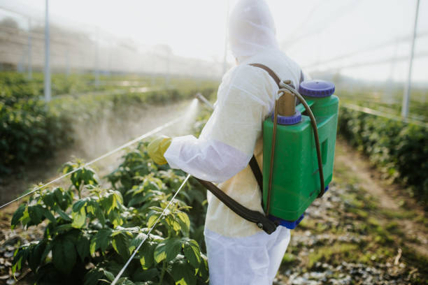 Best Emergency Pest Control  in Lake Carmel, NY